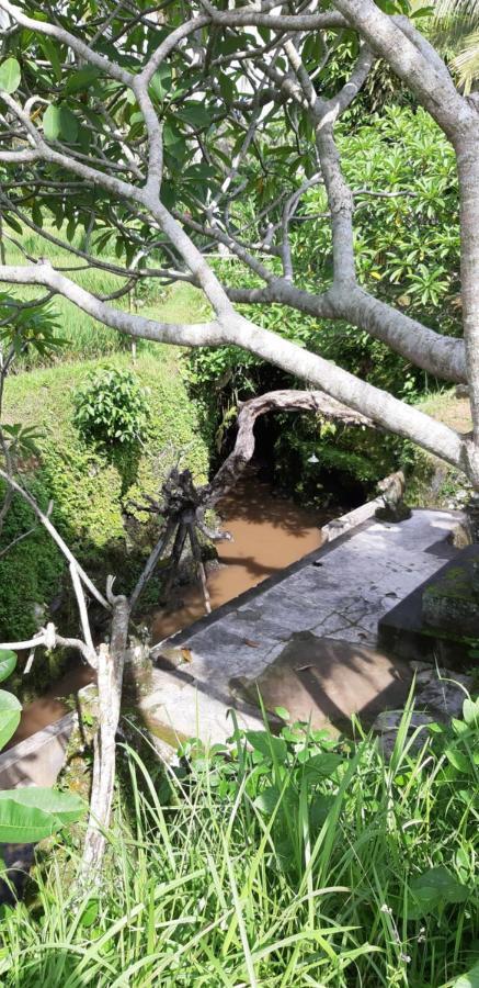 Pondok Tulasi Semaya House Payangan Extérieur photo
